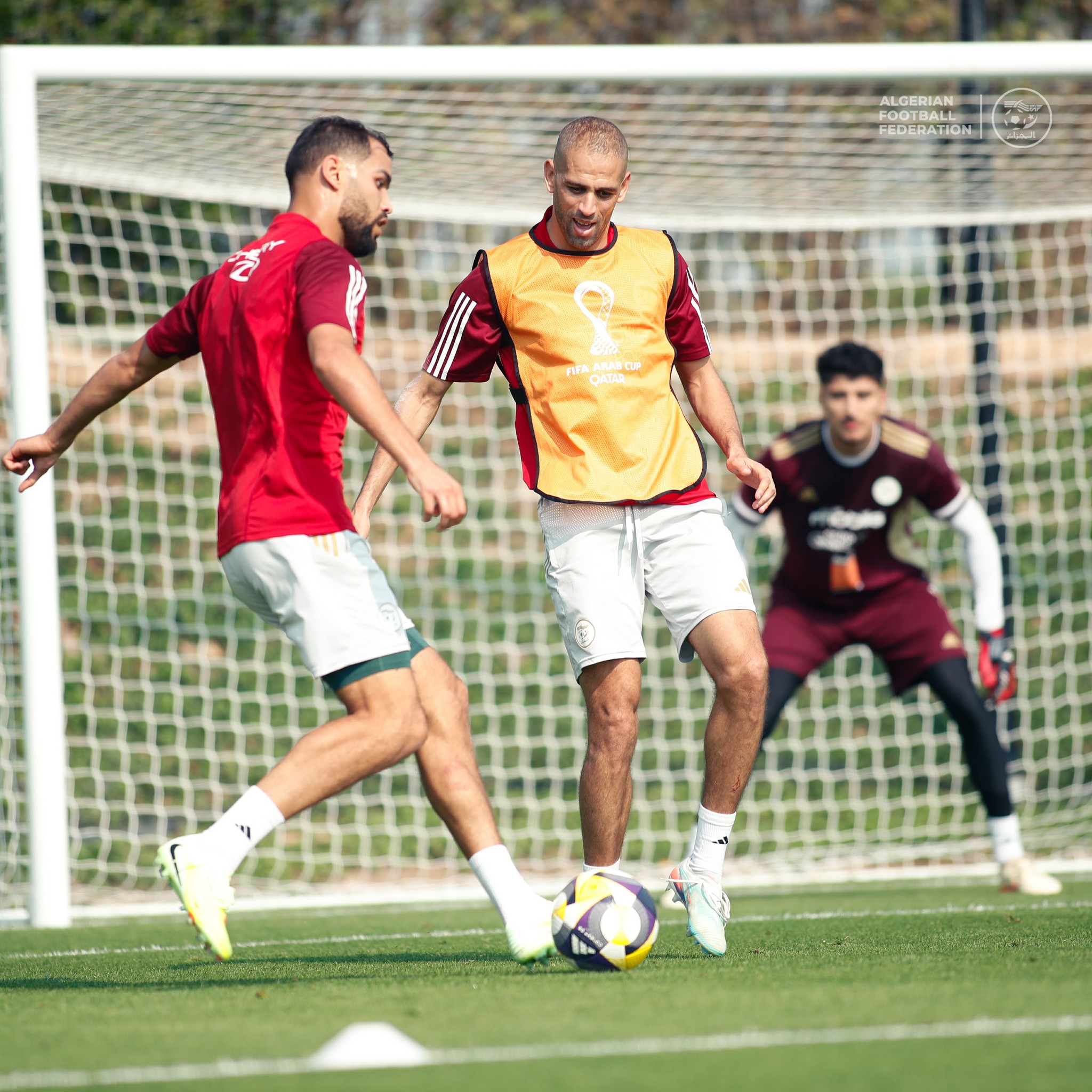 Peut être une image de football, football et texte qui dit ’ALGERIAN FEDERATION EDERATION N O O’