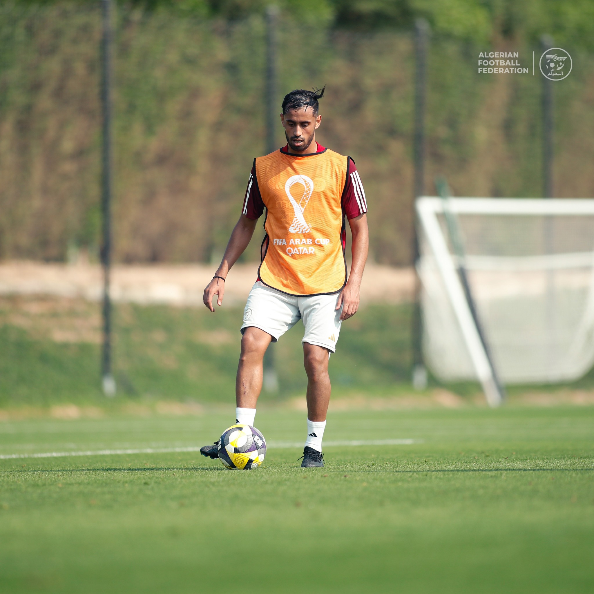 Peut être une image de football, football et texte qui dit ’क্ ALGERIAN AGEBAIN FEDERATION FEDERATION P FIFA ARAB QATAR’