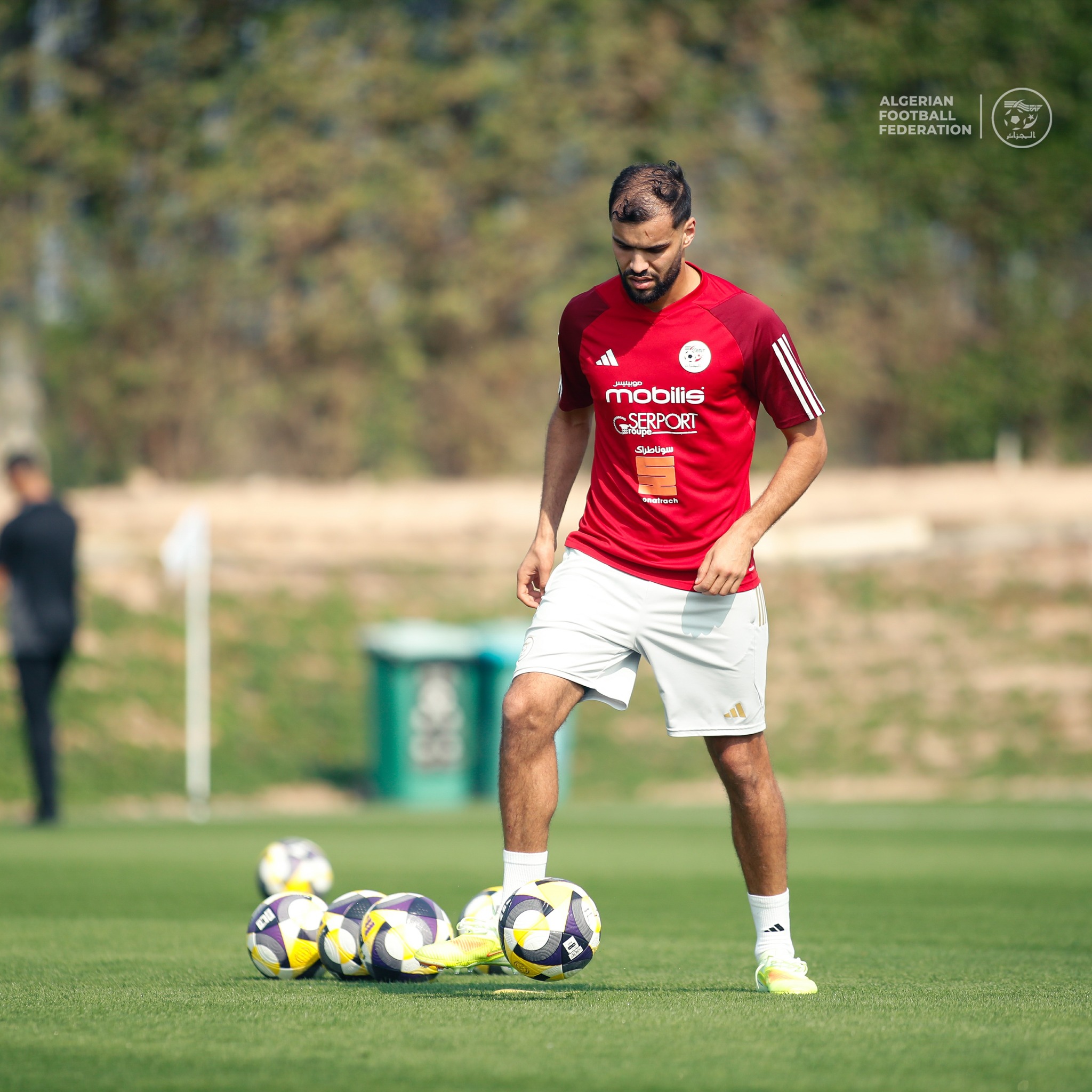 Peut être une image de football, football et texte